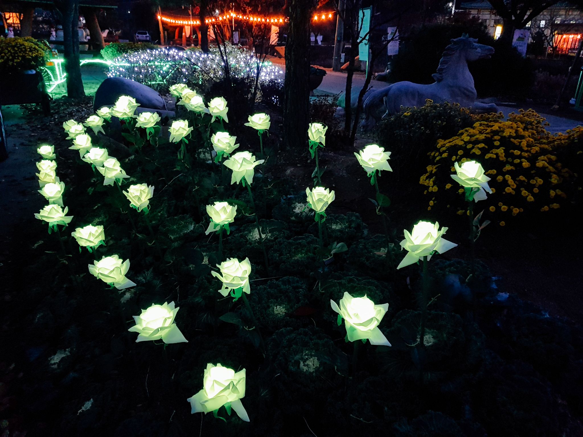 은은한 빛축제 05